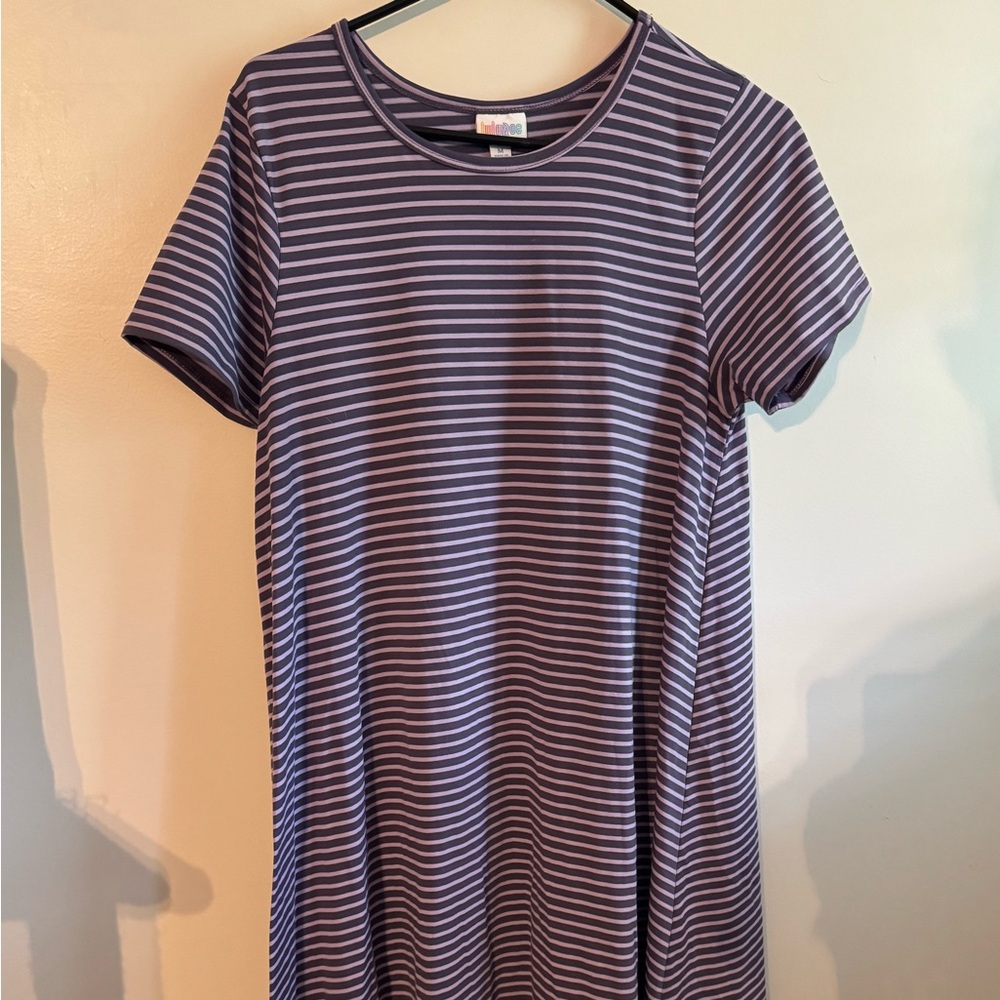 Lularoe Carly high low swing dress.